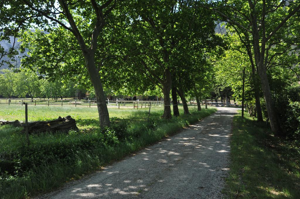 Domaine De Castel Fizel Hotel Caudies-de-Fenouilledes Kültér fotó